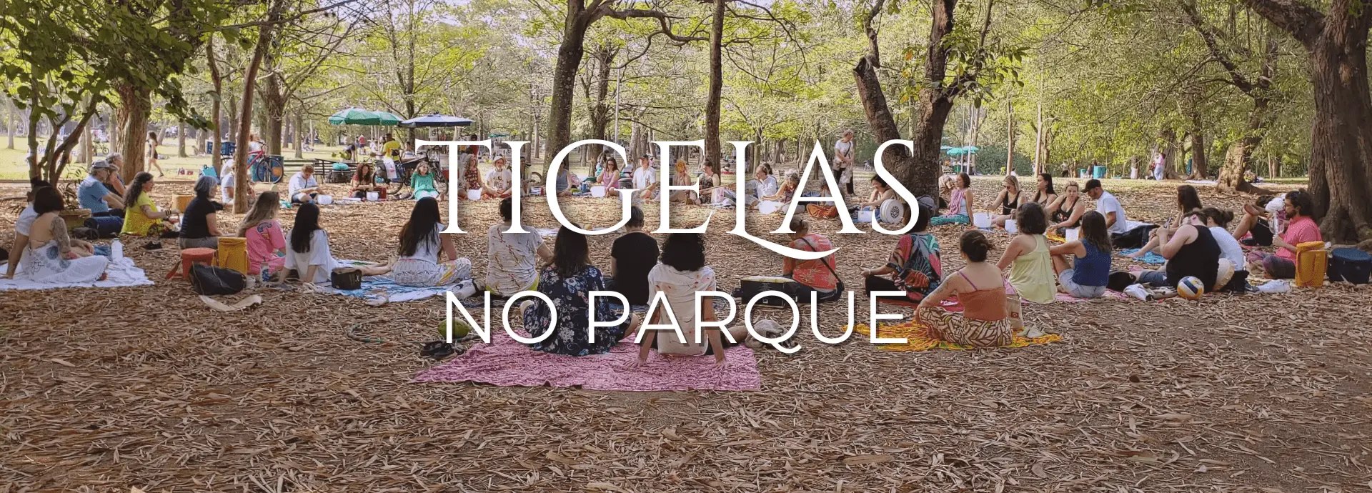Tigelas no Parque